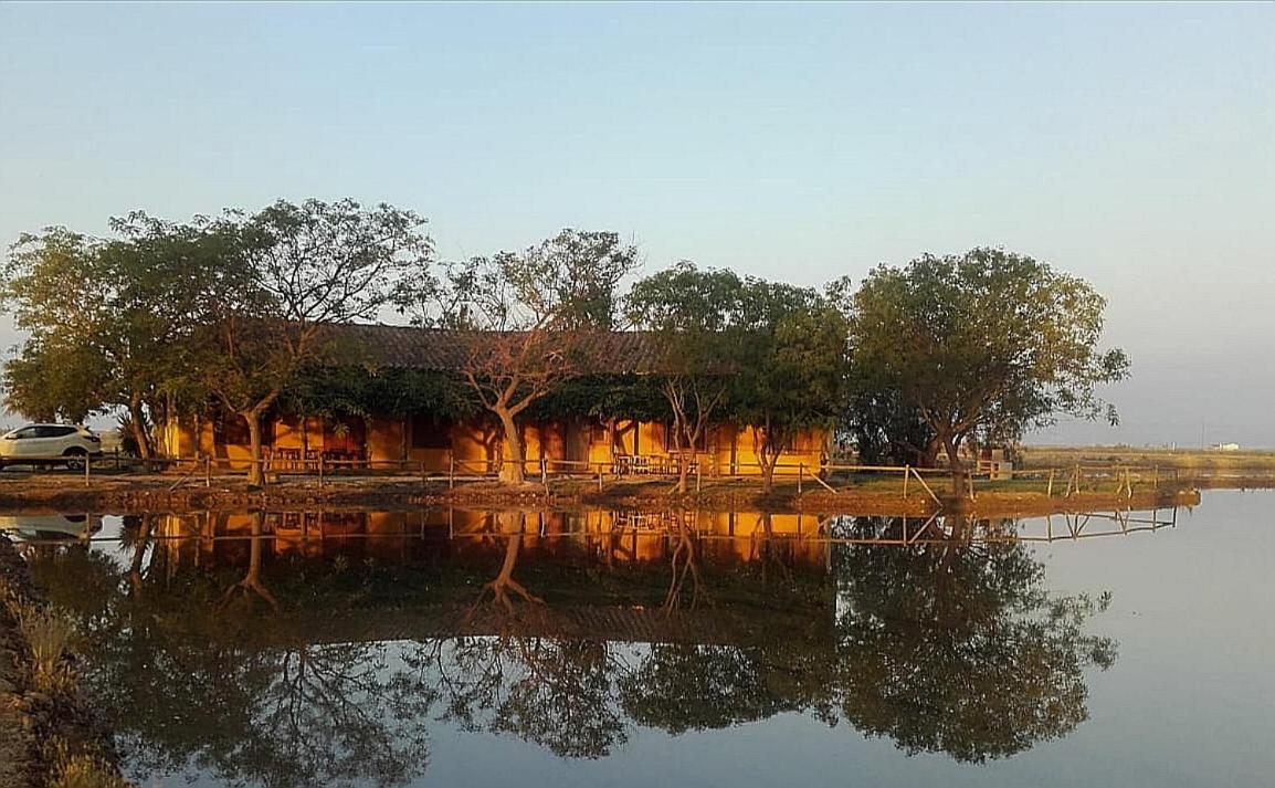 Casetes Del Delta Сан-Жауме-де-Энвежа Экстерьер фото
