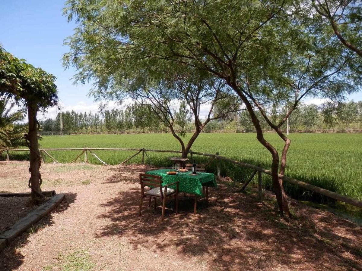 Casetes Del Delta Сан-Жауме-де-Энвежа Экстерьер фото